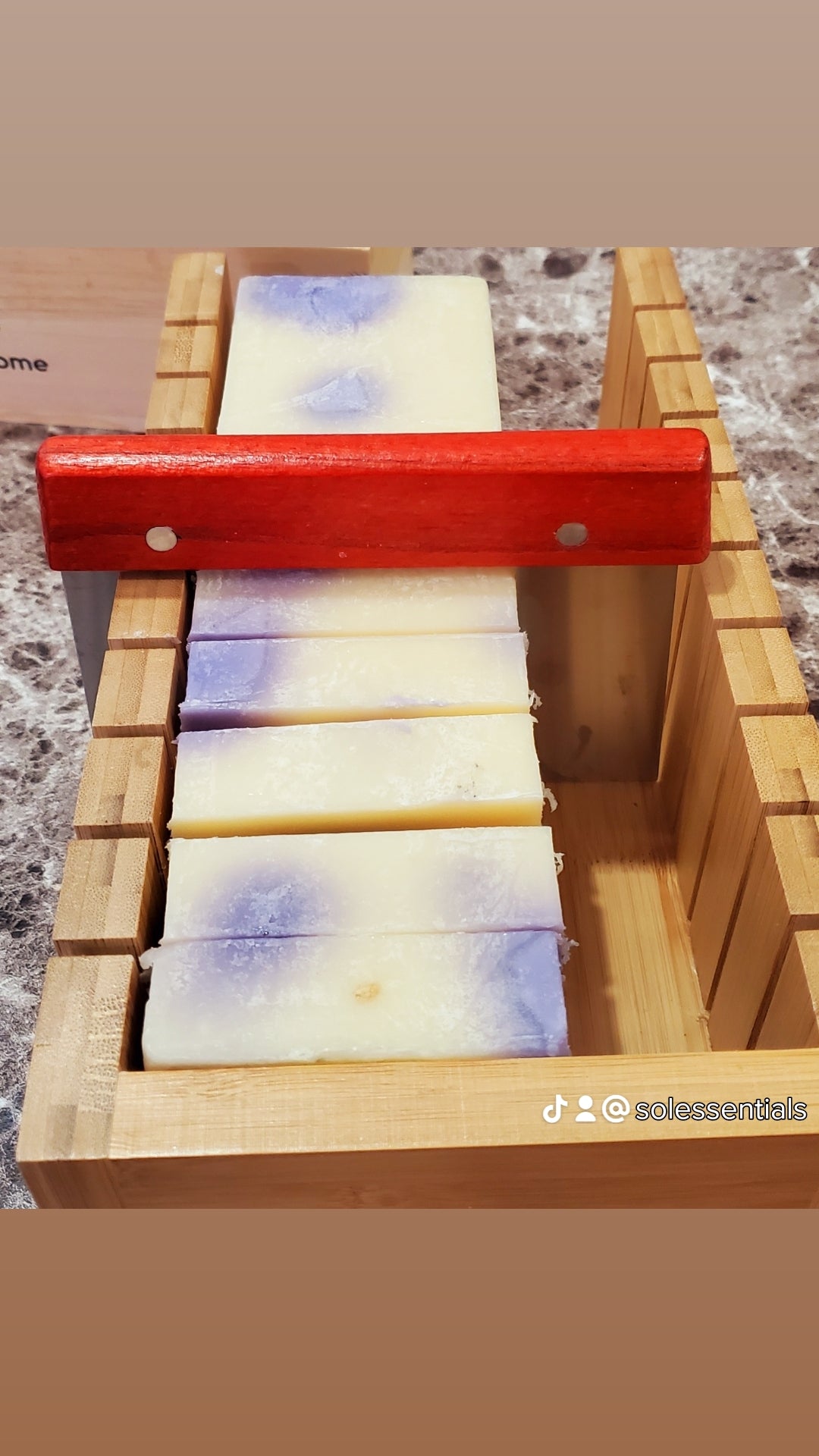 Black Raspberry Vanilla Soap